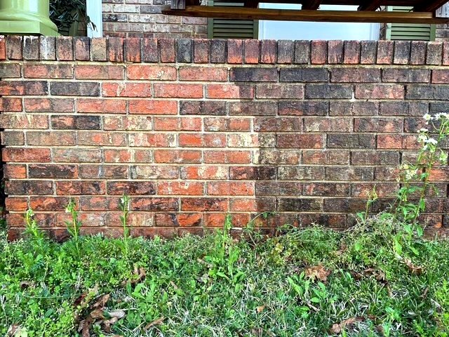 Brick wall half cleaned, showing the before and after side by side