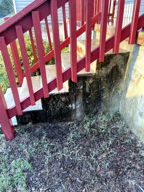 Concrete steps before cleaning, dark with grime